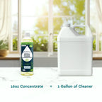 Everyday Multi-Surface Cleaner