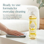 Everyday Multi-Surface Cleaner