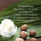 Body Lotion (Jasmine)-  Nourish Dry Skin, Non-Greasy -Daily Moisturizing