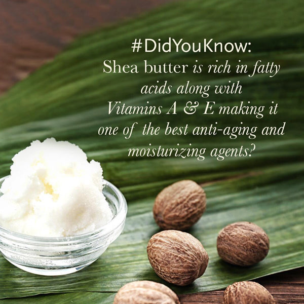 Body Lotion (Jasmine)-  Nourish Dry Skin, Non-Greasy -Daily Moisturizing