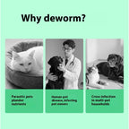 Pet Itching Relief Health Care Products